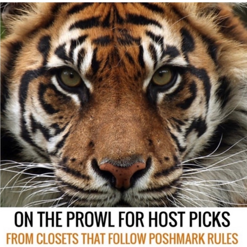 THAT’S A WRAP! THANK YOU!!! 💝 - Picture 15 of 15